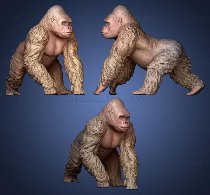 3D model Gorila (STL)